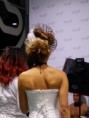 /album/photos10/bulledhair3-jpg/