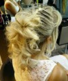 /album/photos10/bulledhair6-jpg/